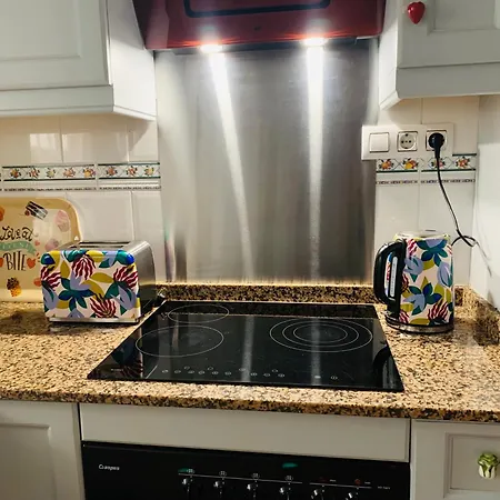 Charming Duplex With Pool 托雷维耶哈