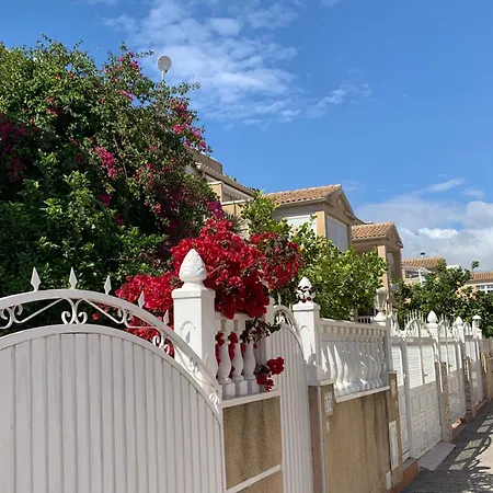 Charming Duplex With Pool Torrevieja